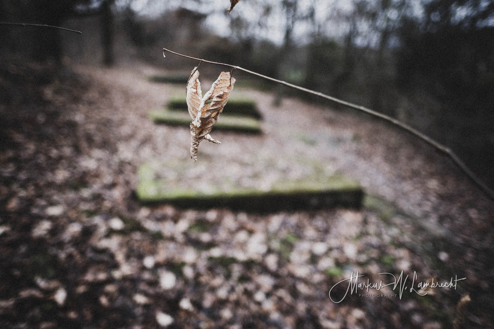 Bovenden, Jüdischer Friedhof
